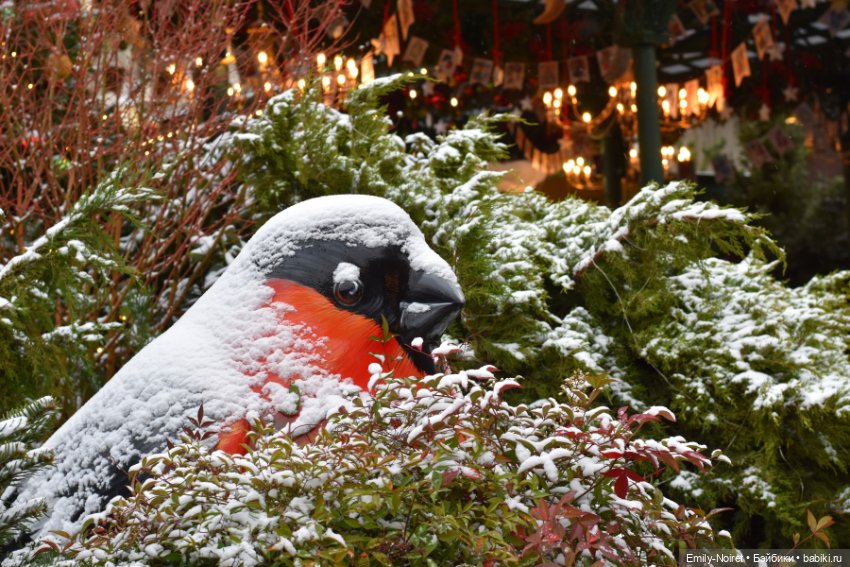 Новогодний центр Москвы — Туризм и путешествия: фотоотчеты из поездок (фото 2)