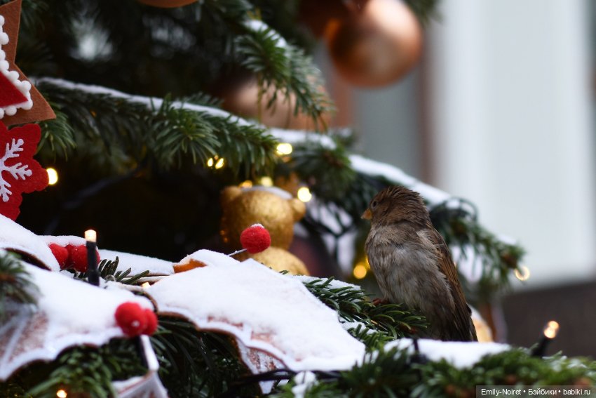 Новогодний центр Москвы — Туризм и путешествия: фотоотчеты из поездок (фото 9)