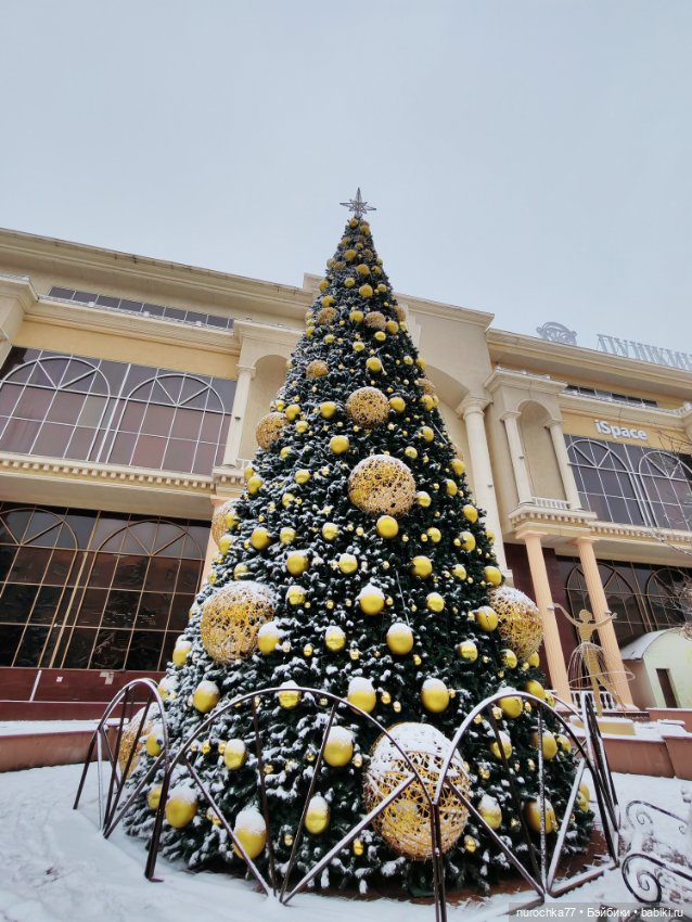 Про Нафочку. Нафочка и первый снег