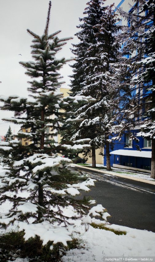 Про Нафочку. Нафочка и первый снег