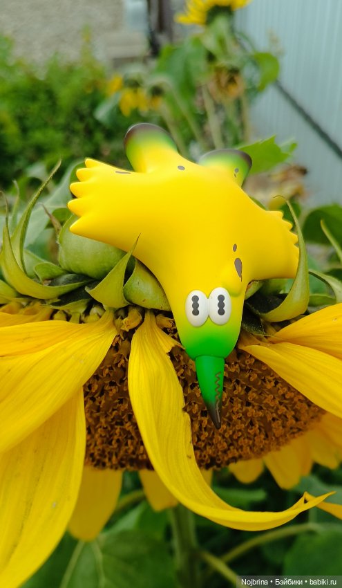 Фигурки в фокусе — Фигурки Pop Mart (Поп Март): Blind Box