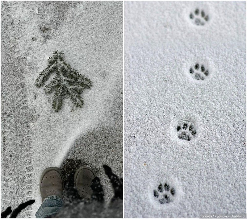 Ювелирные украшения декабрь