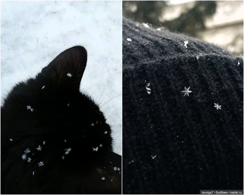 Непростой, но уютный монохром Декабря