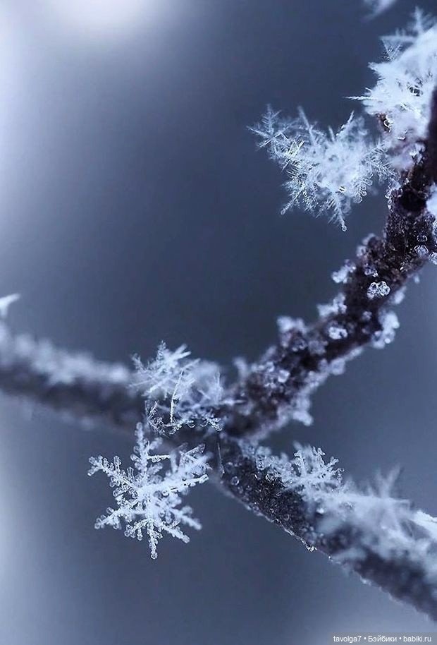 Непростой, но уютный монохром Декабря