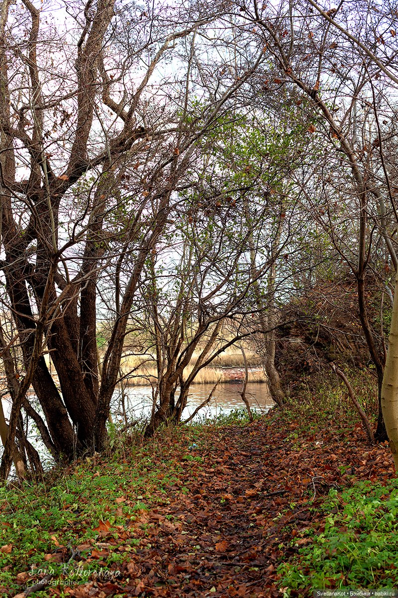 В поисках новогоднего настроения (фото 4)