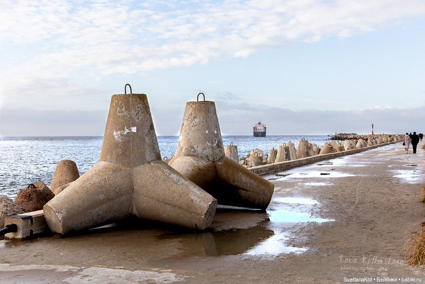 В поисках новогоднего настроения (фото 5)