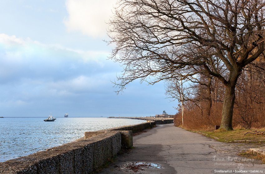 В поисках новогоднего настроения (фото 7)