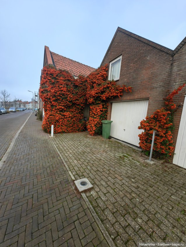 Мои Друзья 8 — Туризм и путешествия: фотоотчеты из поездок