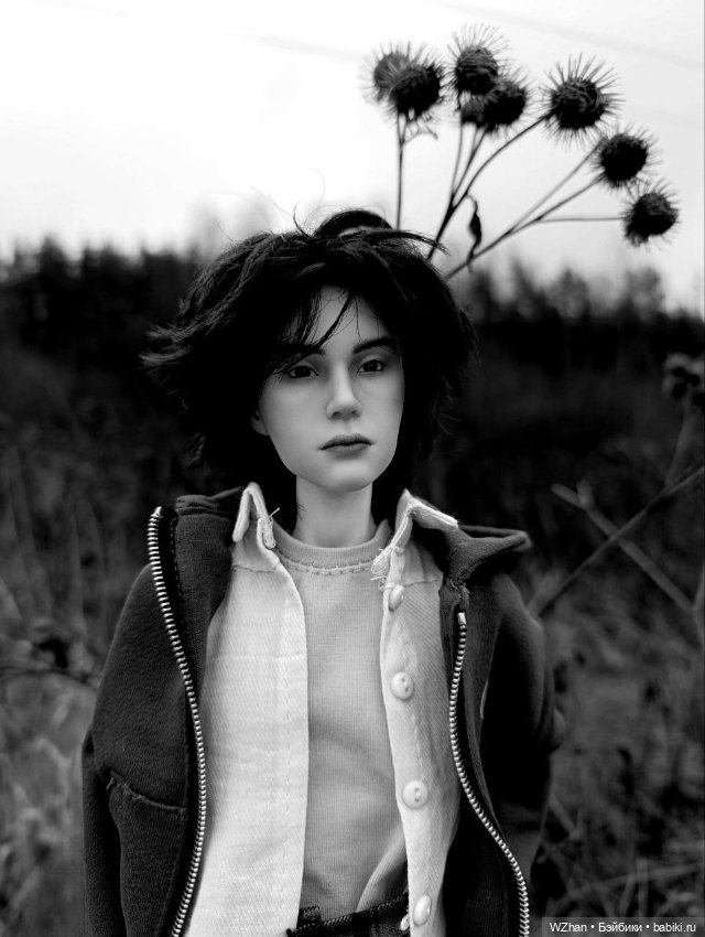 Декабрьский сумрак — Разные куклы BJD (БЖД): редкие бренды (фото 3)