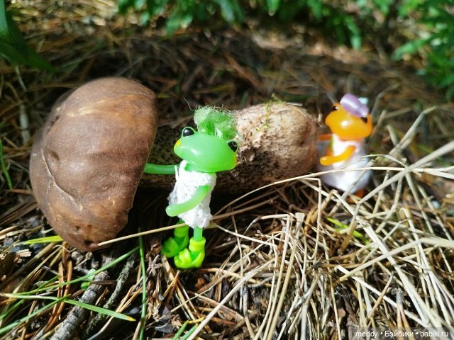 Мои любимые лягухи ( Wonder Frog) 3. Малыши