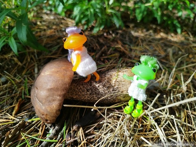 Мои любимые лягухи ( Wonder Frog) 3. Малыши