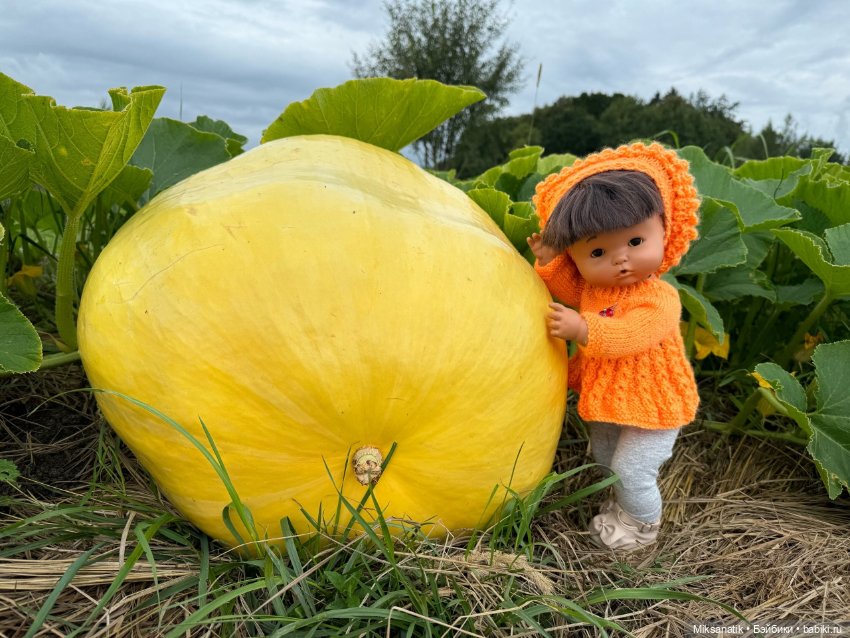 Наша Вероника — Игровые куклы разных производителей (Разное): редкие бренды