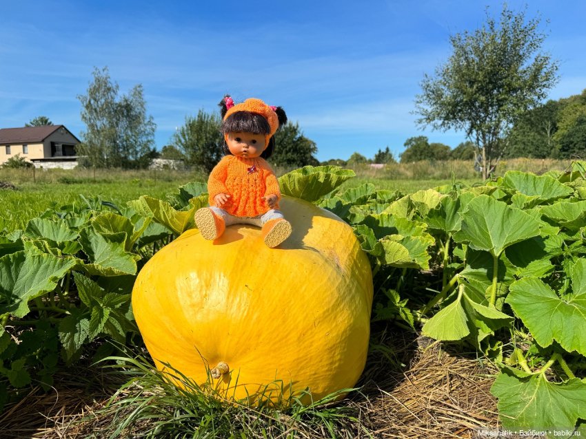 Наша Вероника — Игровые куклы разных производителей (Разное): редкие бренды