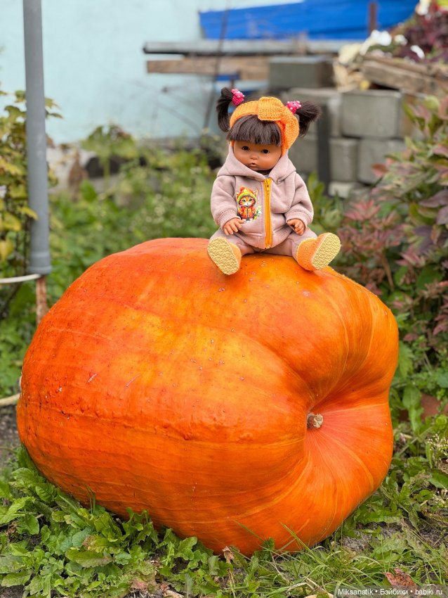 Наша Вероника — Игровые куклы разных производителей (Разное): редкие бренды