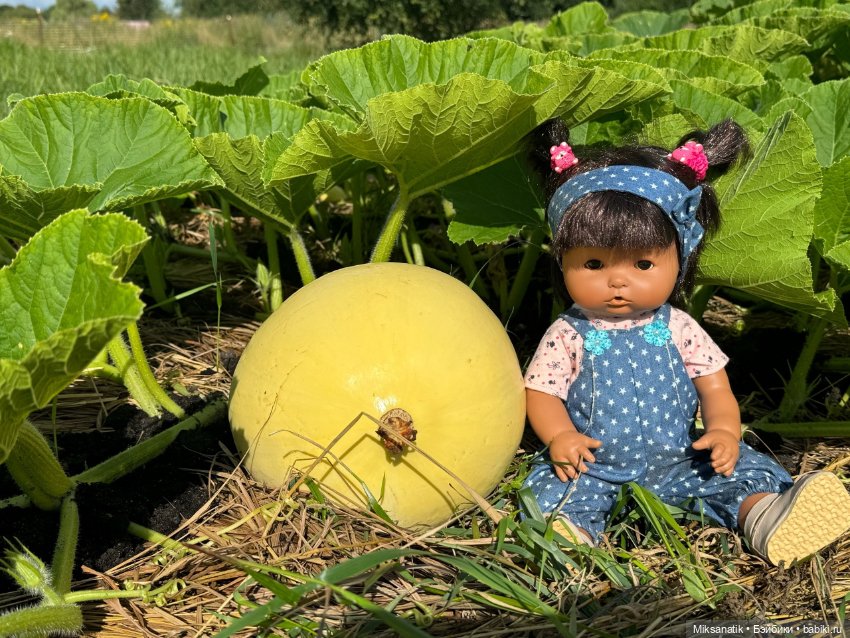 Наша Вероника — Игровые куклы разных производителей (Разное): редкие бренды (фото 10)