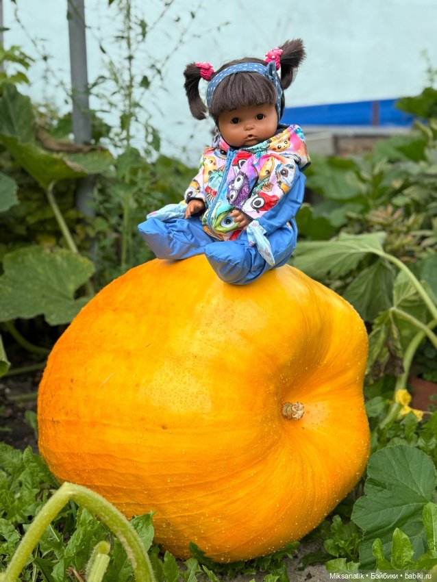 Наша Вероника — Игровые куклы разных производителей (Разное): редкие бренды