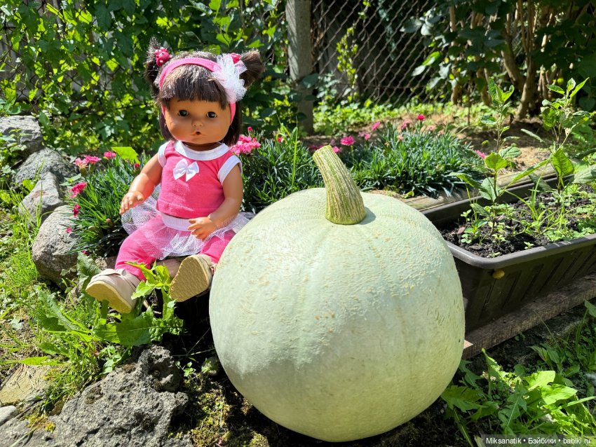 Наша Вероника — Игровые куклы разных производителей (Разное): редкие бренды