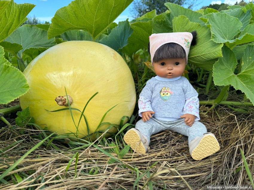 Наша Вероника — Игровые куклы разных производителей (Разное): редкие бренды (фото 3)