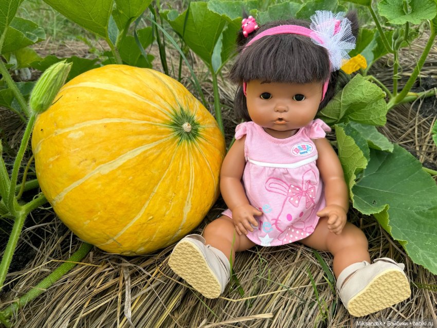 Наша Вероника — Игровые куклы разных производителей (Разное): редкие бренды