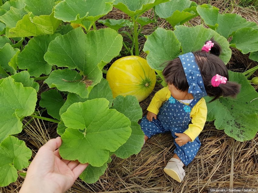 Наша Вероника — Игровые куклы разных производителей (Разное): редкие бренды (фото 8)