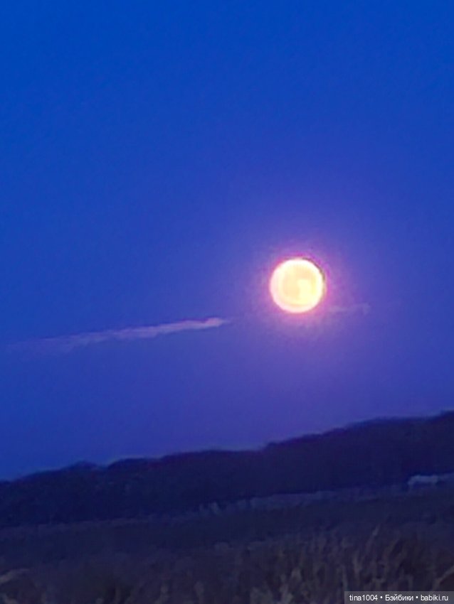 ИЗ ЖИЗНИ КУКОЛ осенние путешествия 2ч