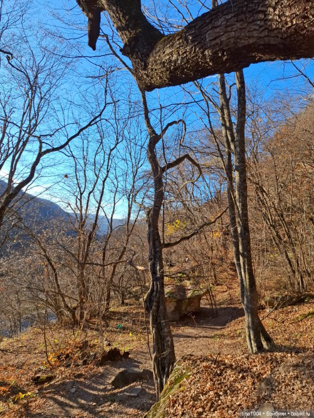 ИЗ ЖИЗНИ КУКОЛ осенние путешествия 2ч