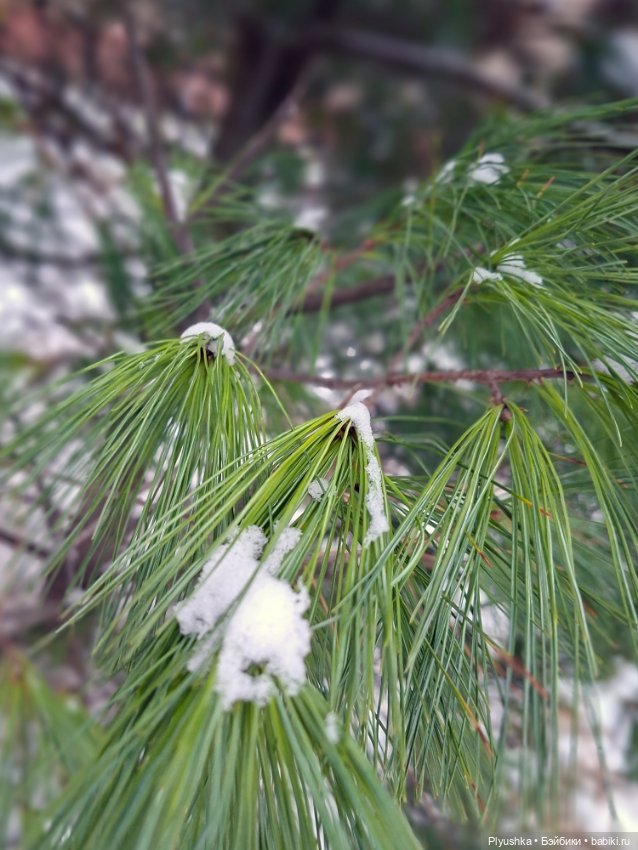 Данбо и второй снег — Коллекционные фигурки (разное): животные (фото 3)