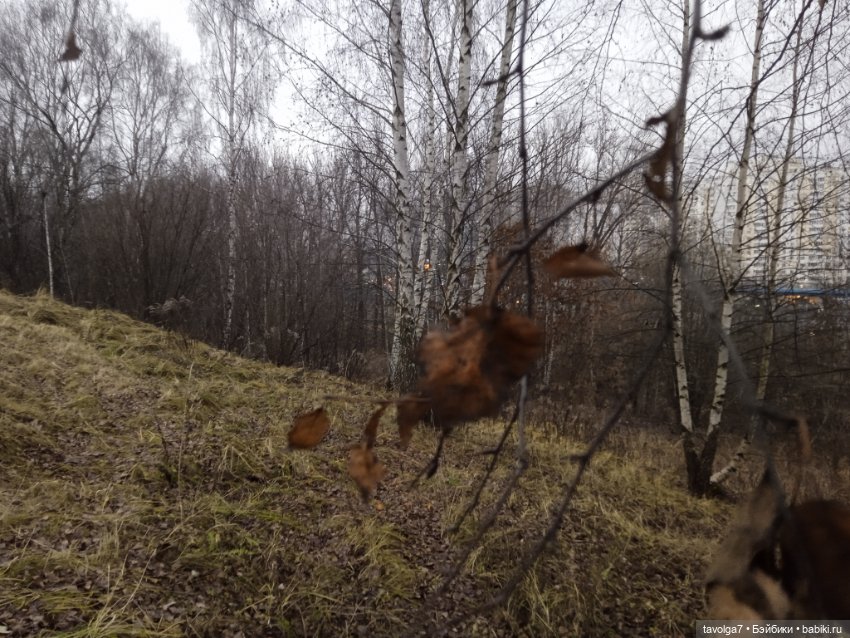 Maudlynne Macabre от Tonner и порция но-декабря 2025