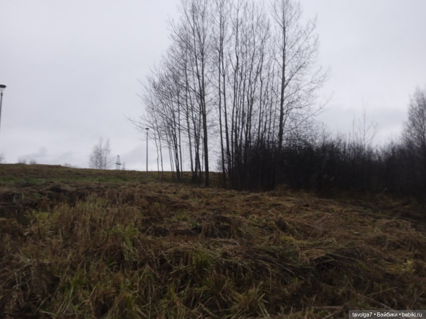 Maudlynne Macabre от Tonner и порция но-декабря 2025 (фото 7)