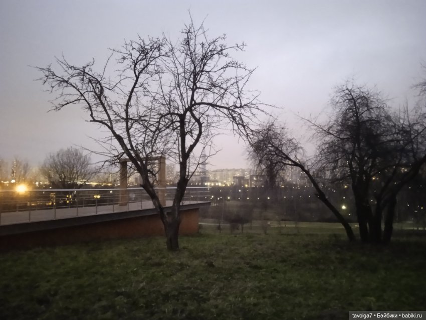 Maudlynne Macabre от Tonner и порция но-декабря 2025