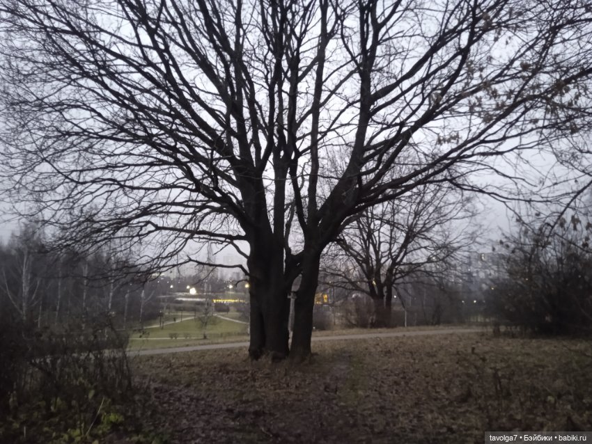 Maudlynne Macabre от Tonner и порция но-декабря 2025