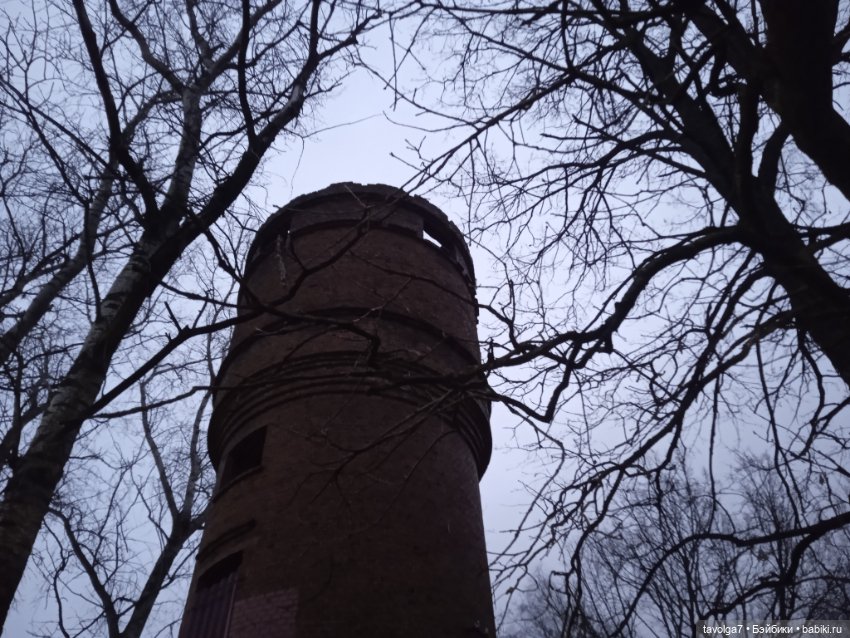 Maudlynne Macabre от Tonner и порция но-декабря 2025