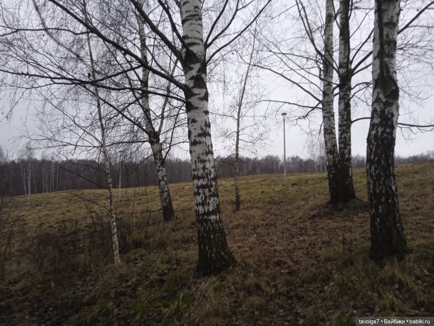 Maudlynne Macabre от Tonner и порция но-декабря 2025