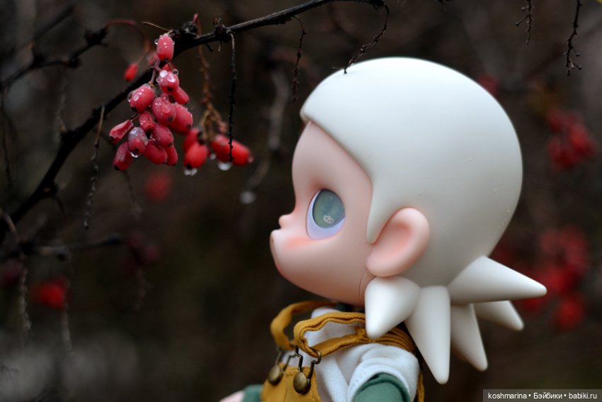 Zsiga, просто Zsiga — Разные шарнирные куклы (не БЖД): редкие (фото 5)