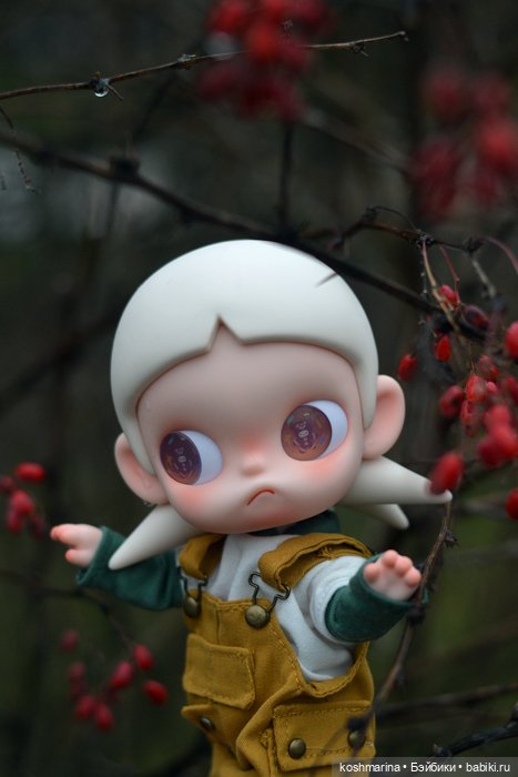 Zsiga, просто Zsiga — Разные шарнирные куклы (не БЖД): редкие (фото 6)