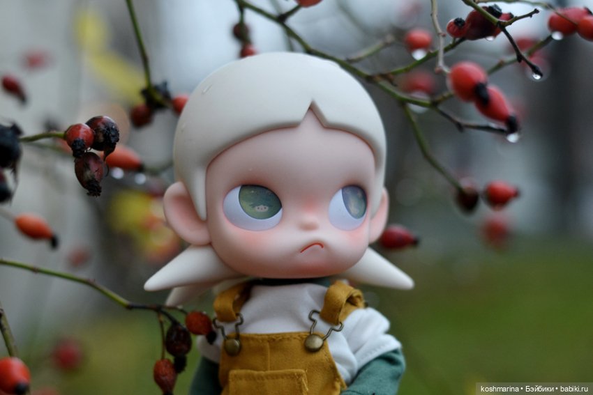 Zsiga, просто Zsiga — Разные шарнирные куклы (не БЖД): редкие