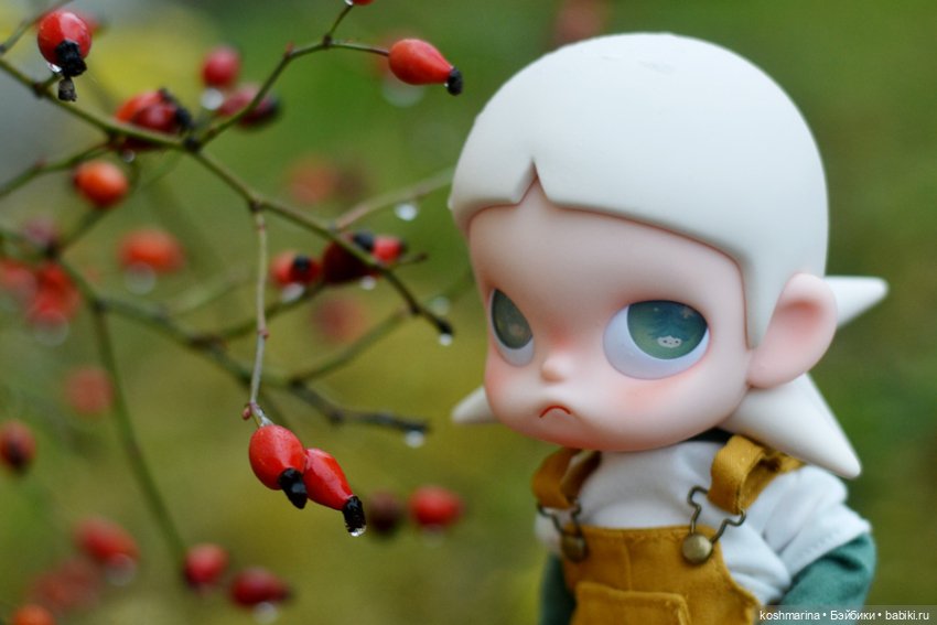 Zsiga, просто Zsiga — Разные шарнирные куклы (не БЖД): редкие