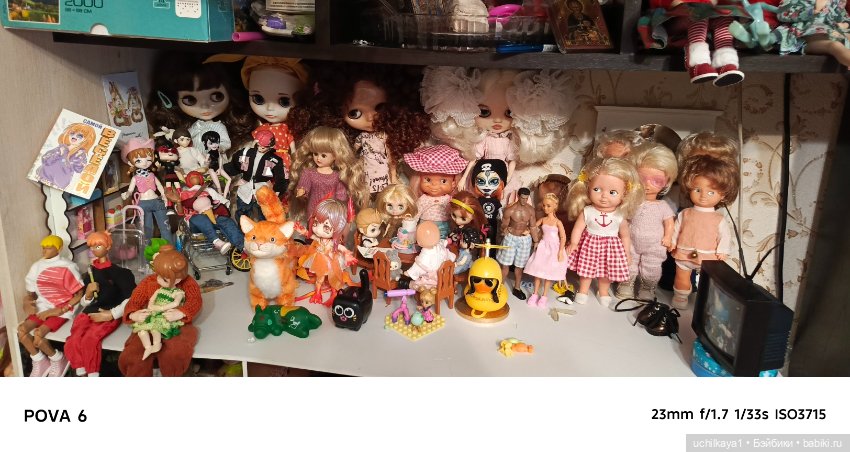 Моё кукольное царство — Коллекции игровых кукол (Playline): фото полок