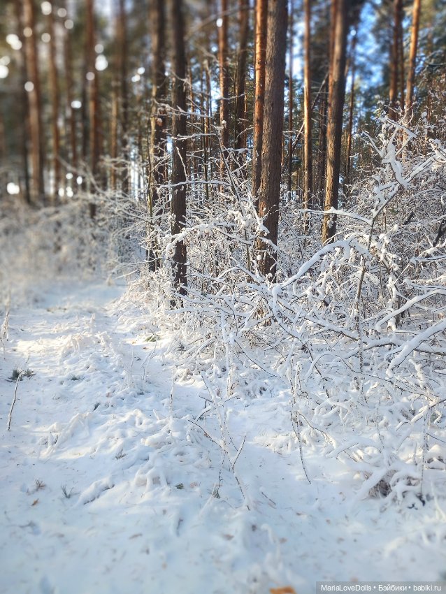 Сказку не спугнуть — Куклы Rosemarie Anna Muller (Мюллер): Вихтели (Wichtel)