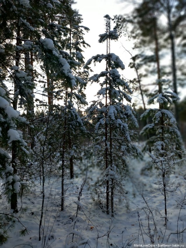 Сказку не спугнуть — Куклы Rosemarie Anna Muller (Мюллер): Вихтели (Wichtel)