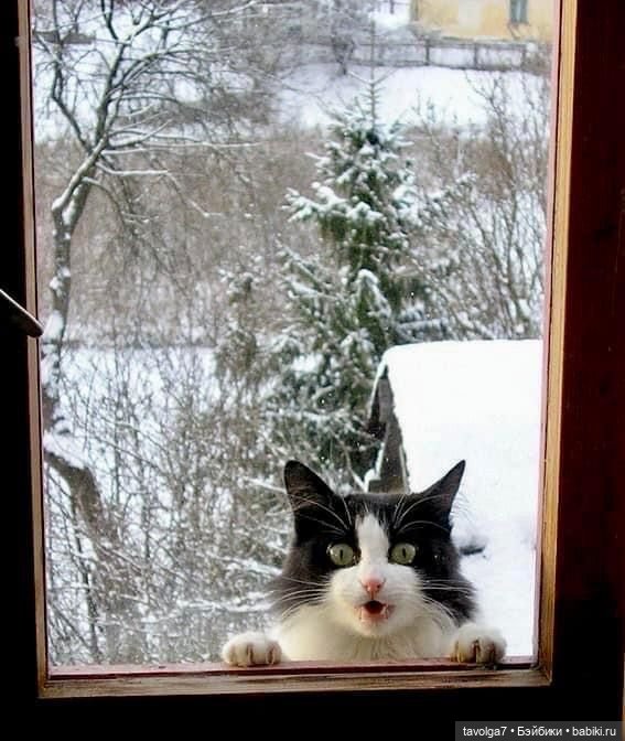 Серо-белый, серебристо-золотистый Новый Год XXI века