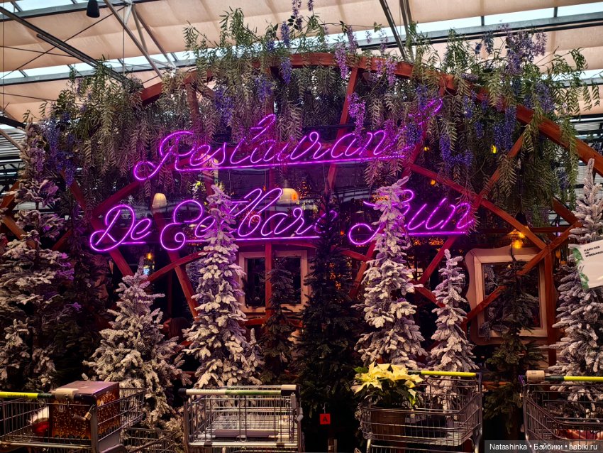 Музыкальная история 181 — Туризм и путешествия: фотоотчеты из поездок (фото 3)