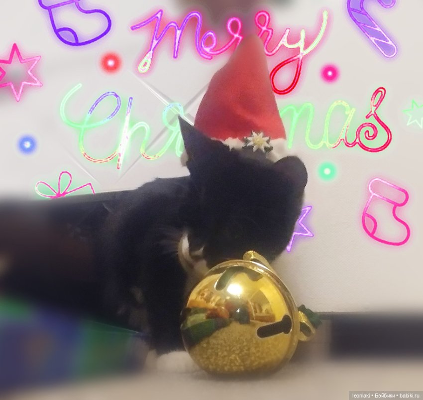 Подготовка к Новому году в весёлой компании