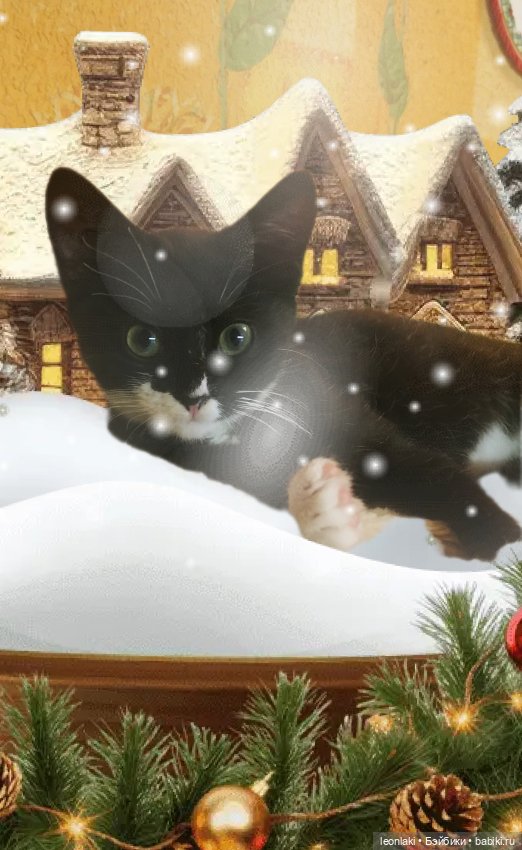 Подготовка к Новому году в весёлой компании