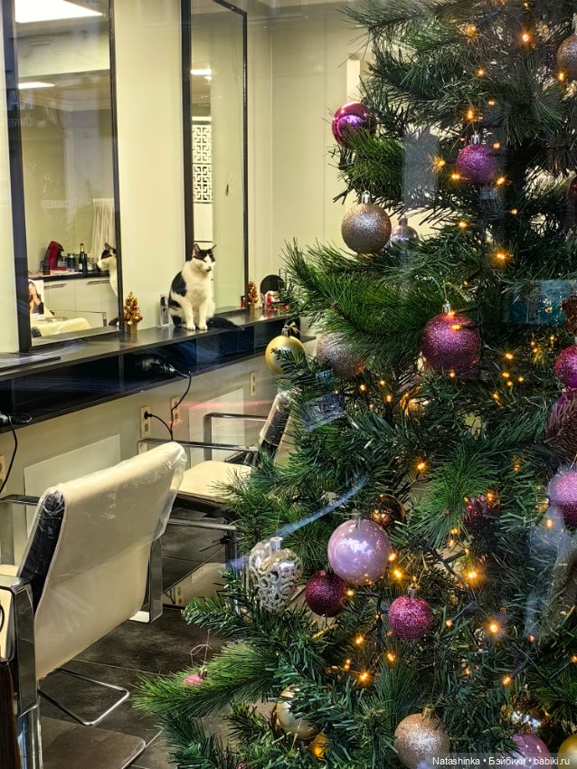 Мои друзья-9 — Туризм и путешествия: фотоотчеты из поездок