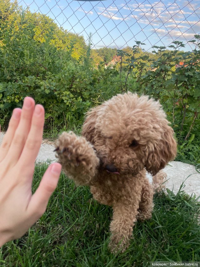 Моя первая портретная работа ❤️🧸