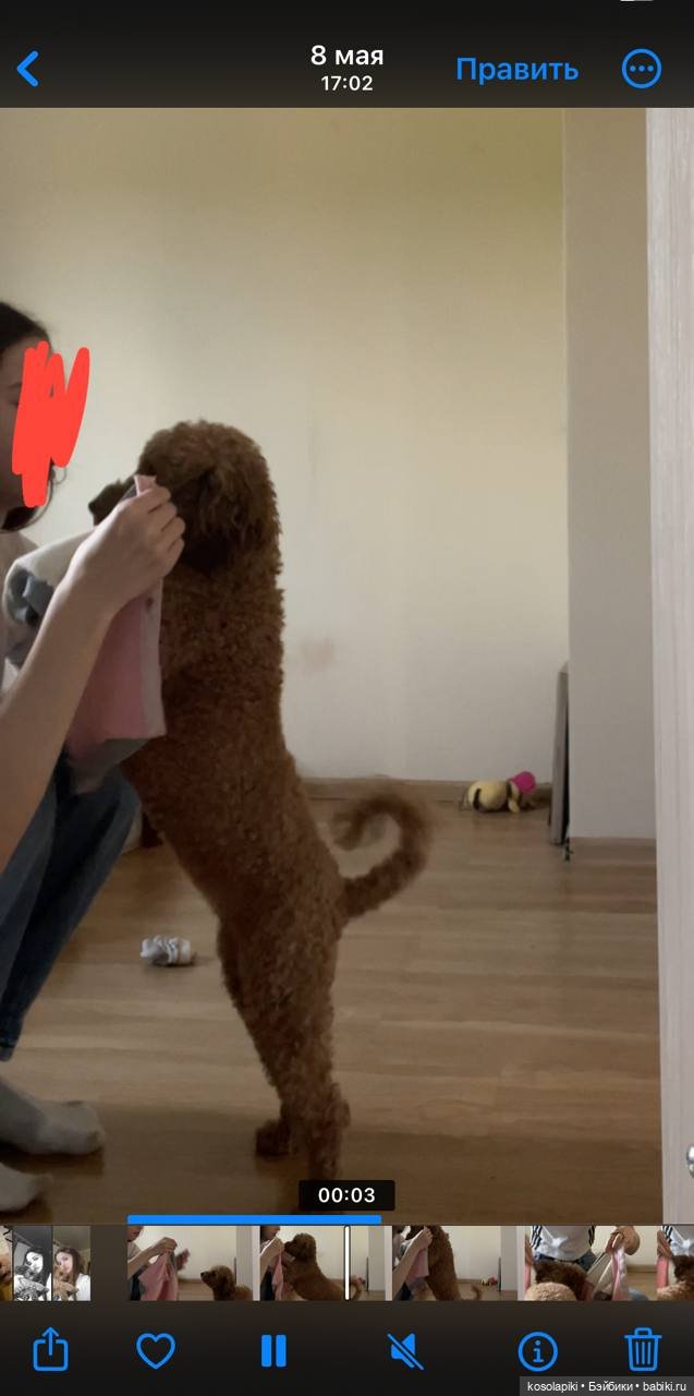 Моя первая портретная работа ❤️🧸 (фото 2)