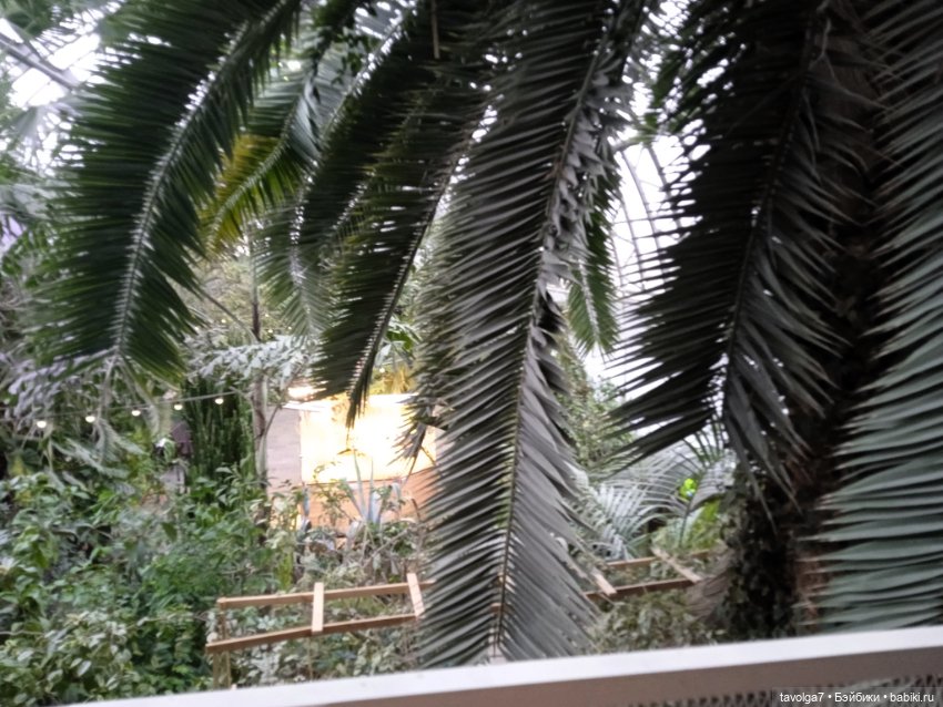 "Мы ранены так, что, кажется, обречены" (фото 6)