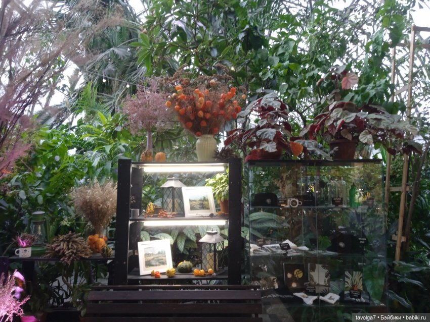 "Мы ранены так, что, кажется, обречены"