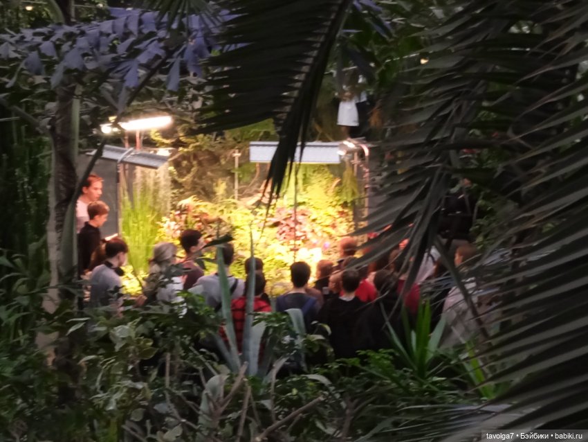 "Мы ранены так, что, кажется, обречены" (фото 9)